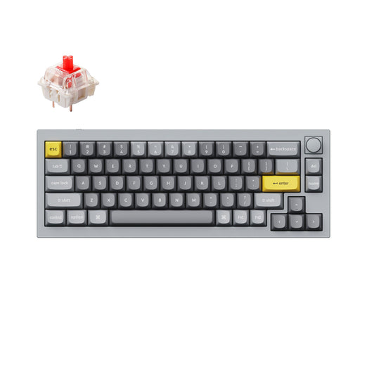 Keychron Q2 QMK VIA custom mechanical keyboard 65 percent layout full aluminum grey frame B knob for Mac Windows iOS RGB backlight with hot swappable Gateron G Pro switch red