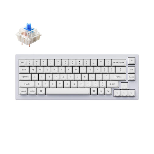 Keychron Q2 QMK VIA custom mechanical keyboard 65 percent layout full aluminum black frame for Mac Windows iOS RGB backlight with hot swappable Gateron G Pro switch blue shell white