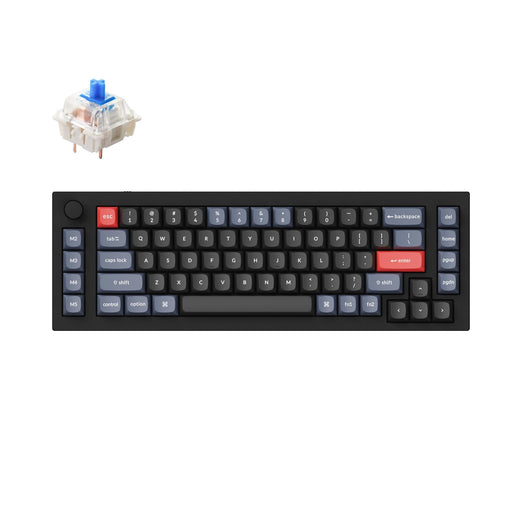 Keychron Q65 Custom Mechanical Keyboard Gateron G Pro Blue Switch Carbon Black